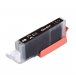 Canon CLI-531 Jet d'Encre Noir Compatible